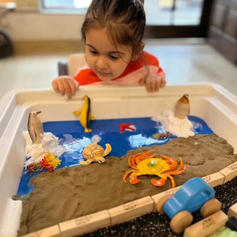 Sensory Exploration & Discovery