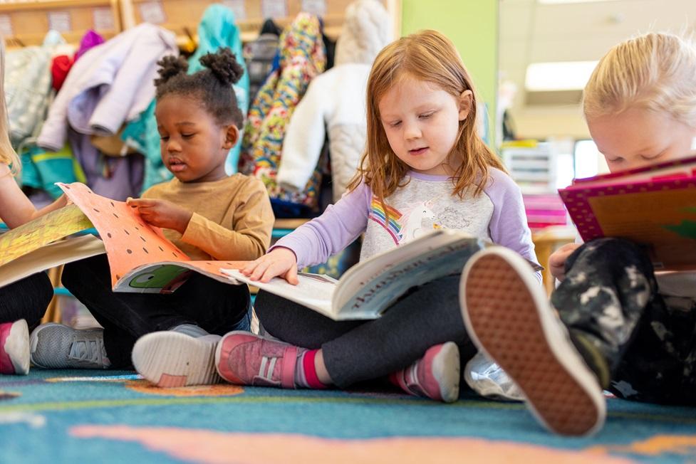 Advanced Literacy Development